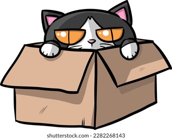 The cat in the box is looking at you.