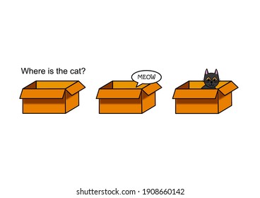 cat in box and more carton boxes