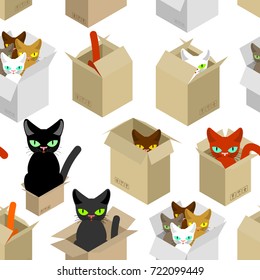 Cat in box pattern. Pet in cardboard box background. vector texture

