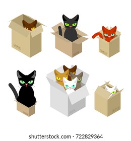 Cat in box set. Pet in cardboard box. vector illustration
