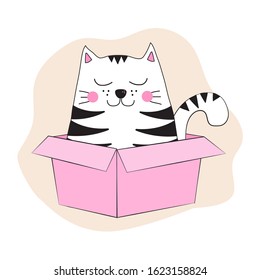 cat in box, vector illustration