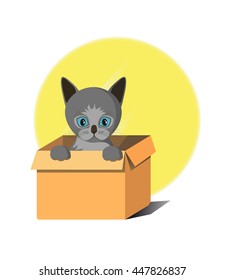 Cat in a Box Vector Illustration