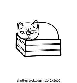Cat in a box, vector illustration 