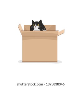 cat in a box. vector illustration of a pet in a cardboard box. cat playing