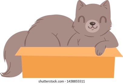 Cat in box vector kitty pet character domestic animal kitten in boxed gift illustration feline set of pussycat hidding in package isolated on white background