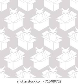 Cat in box white texture. Pet in cardboard box background. vector pattern
