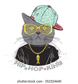 cat boy dressed up in hip hop style, hand drawn graphic, fashion animal portrait