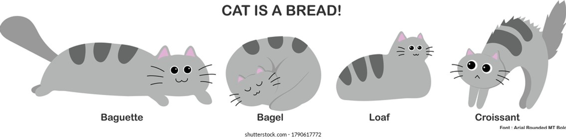 Cat is a Bread (Various Cat Position that Look Like a Bread)