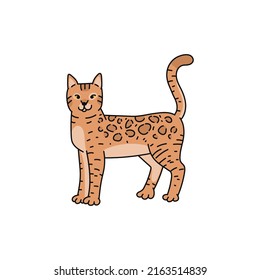 dibujo del doodle de la raza del gato bengalí contorno.