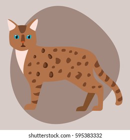 Cat breed bengal leopard cute pet brown fluffy leopard adorable cartoon animal and pretty fun play feline sitting mammal domestic kitty vector illustration.