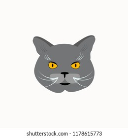 British Shorthair Grey Stock Illustrations Images Vectors