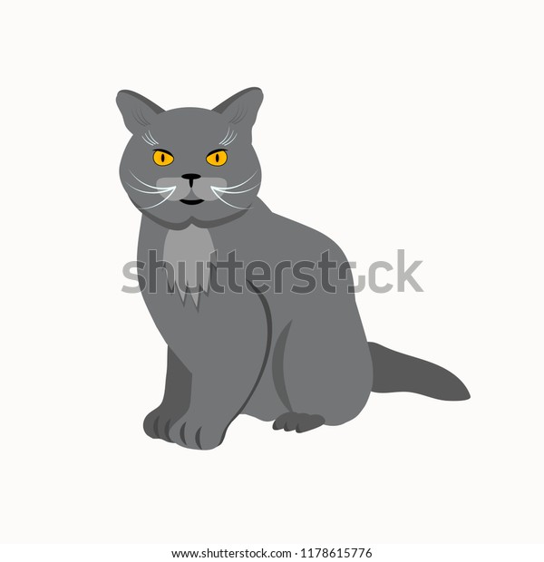 Cat Breed British Shorthair Face Vector Stock Vector Royalty Free