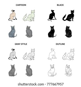 Cat breed Briton, Siamese, Nibelung, Chartreus. Different breeds of cat set collection icons in cartoon black monochrome outline style vector symbol stock illustration web.