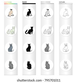 Cat breed Briton, Siamese, Nibelung, Chartreus. Different breeds of cat set collection icons in cartoon black monochrome outline style vector symbol stock illustration web.