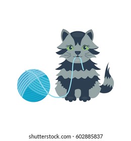 Cat breed cute kitten gray pet portrait fluffy young adorable cartoon animal and pretty fun play feline sitting mammal domestic kitty vector illustration.