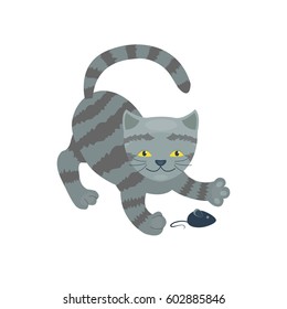 Cat breed cute kitten gray pet portrait fluffy young adorable cartoon animal and pretty fun play feline sitting mammal domestic kitty vector illustration.
