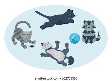Cat breed cute kitten pet portrait fluffy young adorable cartoon animal and pretty fun play feline sitting mammal domestic kitty vector illustration.