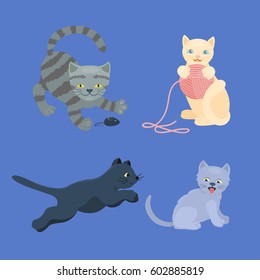 Cat breed cute kitten pet portrait fluffy young adorable cartoon animal and pretty fun play feline sitting mammal domestic kitty vector illustration.