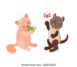 Cat breed cute kitten pet portrait fluffy young adorable cartoon animal and pretty fun play feline sitting mammal domestic kitty vector illustration.