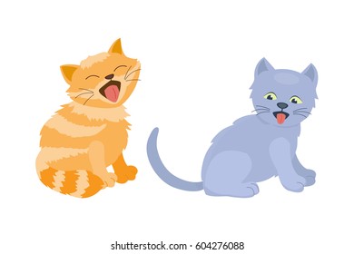 Cat breed cute kitten pet portrait fluffy young adorable cartoon animal and pretty fun play feline sitting mammal domestic kitty vector illustration.