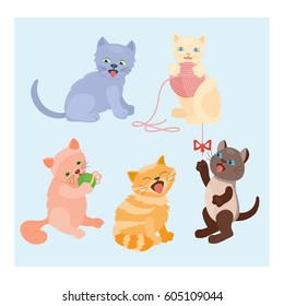 Cat breed cute kitten pet portrait fluffy young adorable cartoon animal and pretty fun play feline sitting mammal domestic kitty vector illustration.