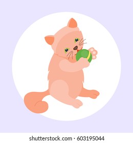 Cat breed cute kitten red pet portrait fluffy young adorable cartoon animal and pretty fun play feline sitting mammal domestic kitty vector illustration.