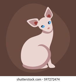 Cat breed cute pet sphinx portrait fluffy young adorable cartoon animal and pretty fun play feline sitting mammal domestic kitty vector illustration.