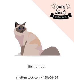 Cat breed flat icon isolated on white background. Vector eps 10 format.