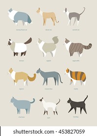 cat breed list vector illustration