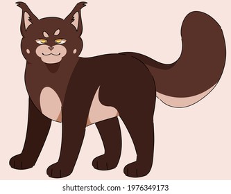 Cat breed, maine coon, cartoon cat vector illustration