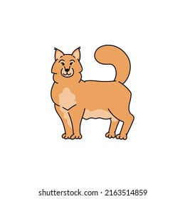 cat breed maine coon contour sketch doodle illustration.