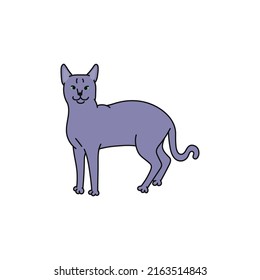 cat breed russian blue contour sketch doodle illustration.