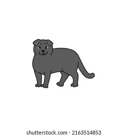 cat breed scottish fold contour sketch doodle illustration.