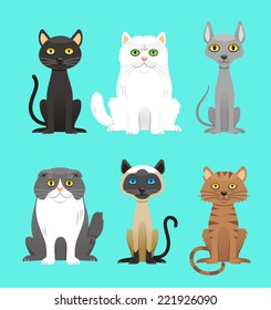 Cat Breed Set Vector Illustration Cartoon.