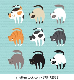 Cat Breed Set, Vector Illustration Cartoon.