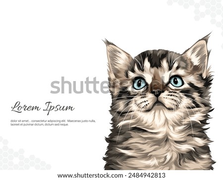 Cat Breed Silver Tabby wall decoration ideas. realistic animal images. Hand drawn cat isolated on White background. for room decoration, events, etc