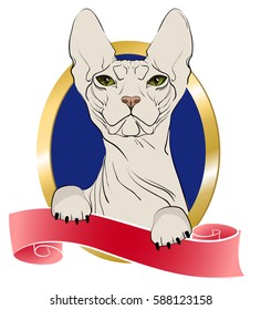 Cat of breed the Sphinx in the design of the vignette