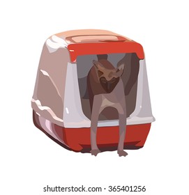 Cat breed Sphynx comes out of the house-toilet. Vector illustration. Eps 8.