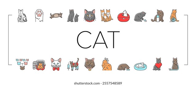 cat breeding genetics cattery icons set vector. pedigree lineage, purebred hybrid, mating selection, traits coat, temperament health cat breeding genetics cattery color line illustrations