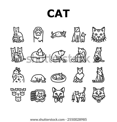 cat breeding genetics cattery icons set vector. pedigree lineage, purebred hybrid, mating selection, traits coat, temperament health cat breeding genetics cattery black contour illustrations