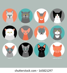 Cat breeds