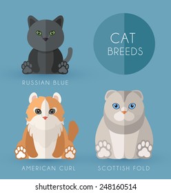 Cat Breeds