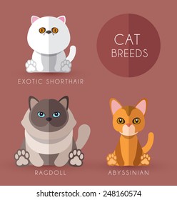 Cat Breeds