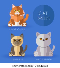 Cat Breeds