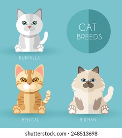 Cat Breeds