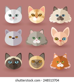 Cat Breeds