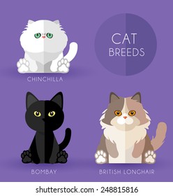 Cat Breeds