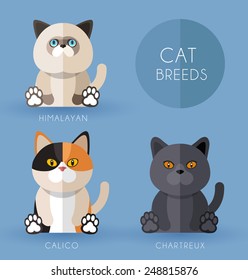 Cat Breeds