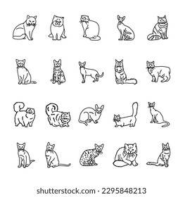 Cat breeds black line icons set. Pictograms for web page, mobile app, promo.