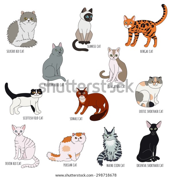 Cat Breeds Cartoon Style Vector Set Stock Vector (Royalty Free) 298718678